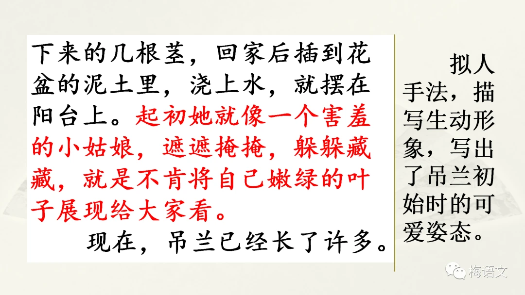 哪里有适合初学者的篮球训练管理指南_0